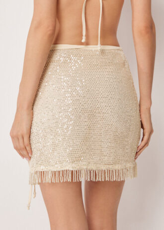 Paillettes Skirt Sequin Net